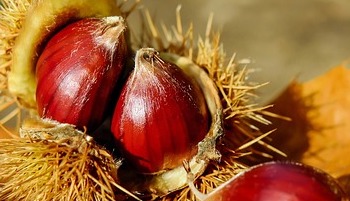 Energie update Geel Zaad levenspad 3 - 15 december 2019: Tips voor extra groeikracht